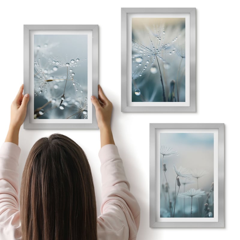 Galeria ścienna 3-częściowy komplet obrazów w srebrnych ramach - Krople rosy na delikatnych dmuchawcach - ArtPrintCave