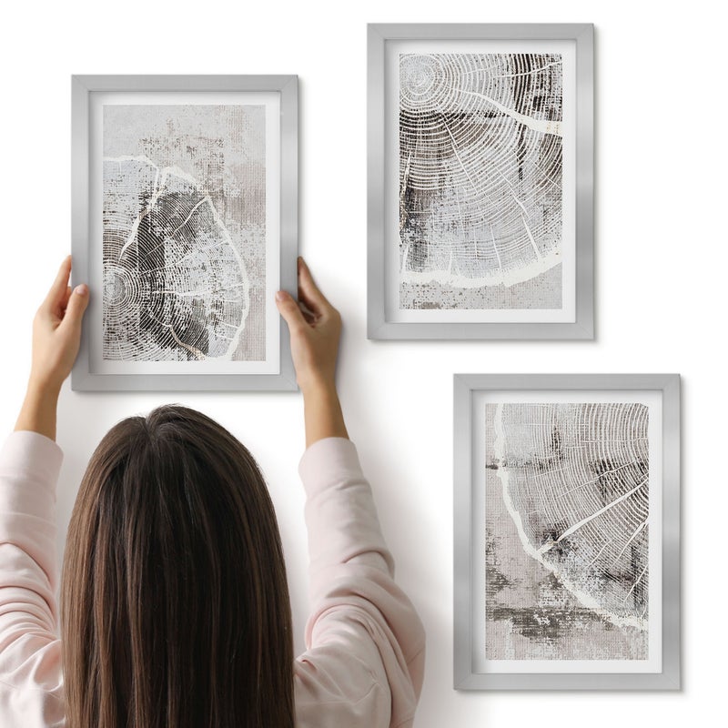 Galeria ścienna 3-częściowy komplet obrazów w srebrnych ramach - Wzory słojów drewna w odcieniach szarości i bieli - ArtPrintCave