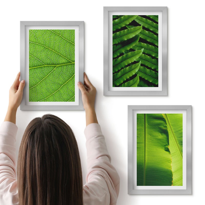 Galeria ścienna 3-częściowy komplet obrazów w srebrnych ramach - Zbliżenia na liście tropikalna natura - ArtPrintCave