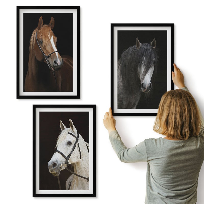 Galeria ścienna 3-częściowy komplet obrazów w czarnych ramach - Portrety koni w różnych odcieniach sierści - ArtPrintCave