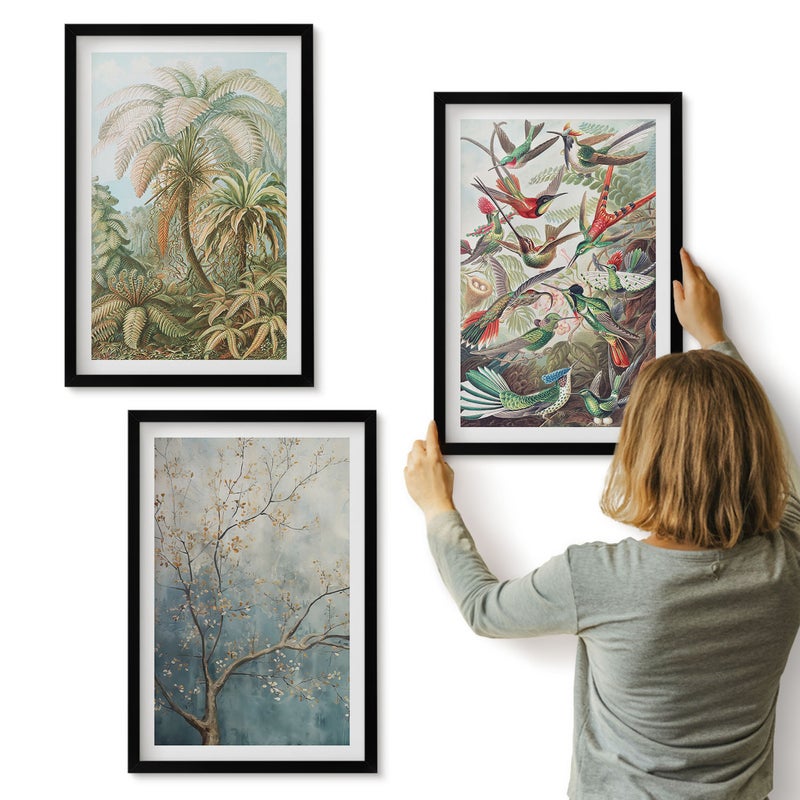Galeria ścienna 3-częściowy komplet obrazów w czarnych ramach - Tropikalne rośliny i kolorowe ptaki w naturze - ArtPrintCave
