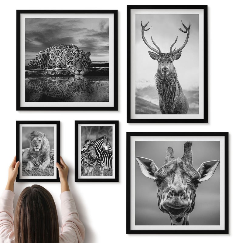 Galeria ścienna 5-częściowy komplet obrazów w czarnych ramach - Zwierzęta w czerni i bieli z natury i dzikiej przyrody - ArtPrintCave