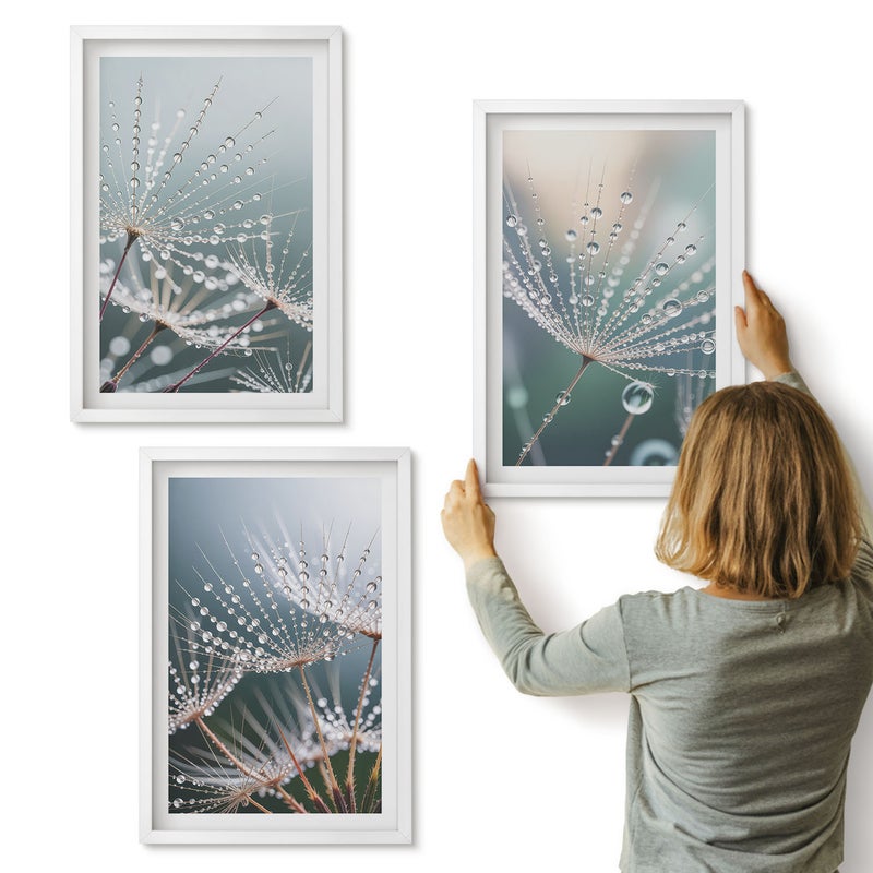 Galeria ścienna 3-częściowy komplet obrazów w białych ramach - Krople wody na delikatnych pędach dmuchawców - ArtPrintCave