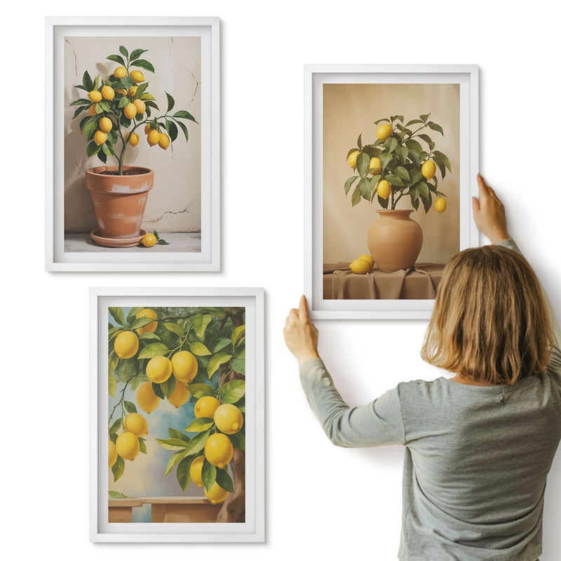 Galeria ścienna 3-częściowy komplet obrazów w białych ramach - Cytrynowe drzewka w doniczkach i w wazonach - ArtPrintCave