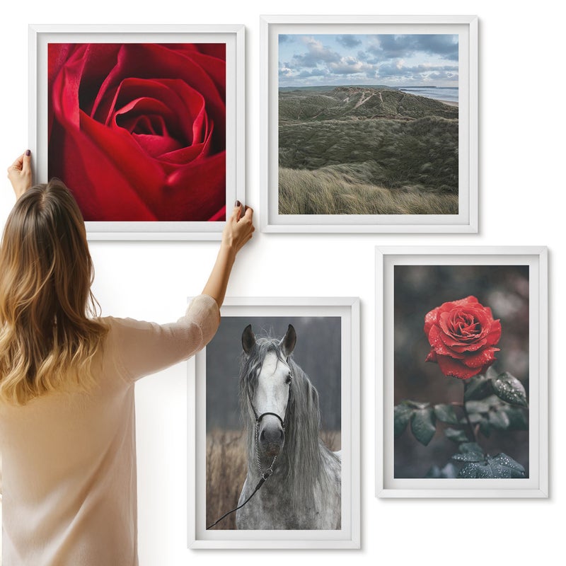 Galeria ścienna 4-częściowy komplet obrazów w białych ramach - Czerwone róże i koń w szarym otoczeniu - ArtPrintCave
