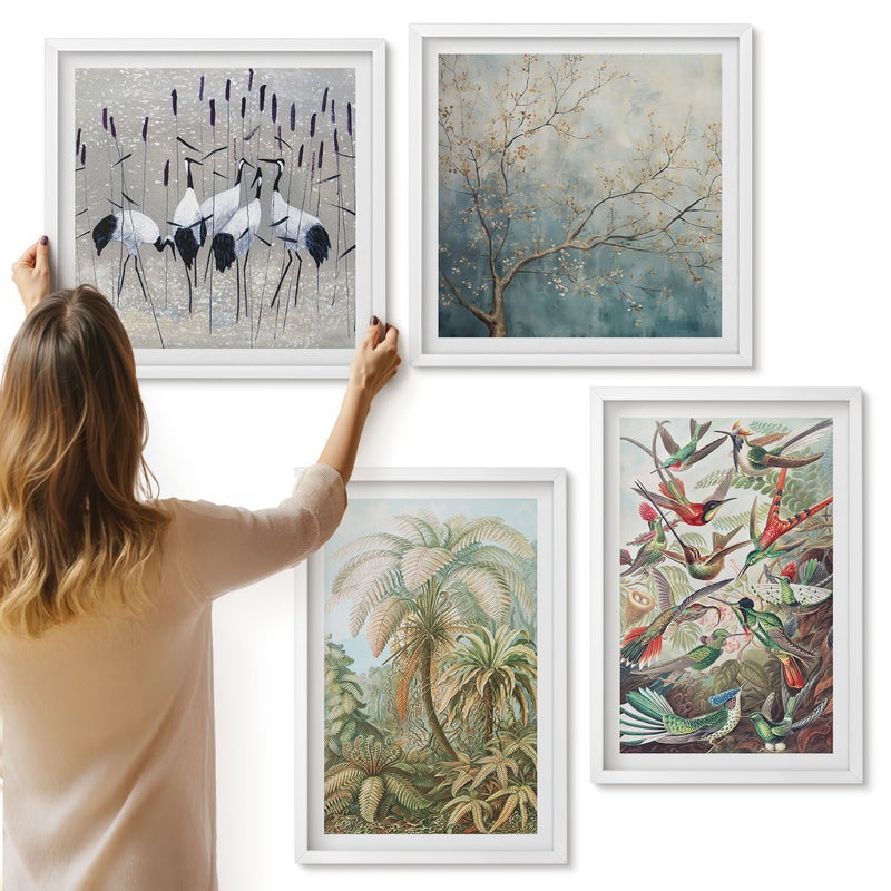 Galeria ścienna 4-częściowy komplet obrazów w białych ramach - Tropikalne rośliny i kolorowe ptaki w naturze - ArtPrintCave