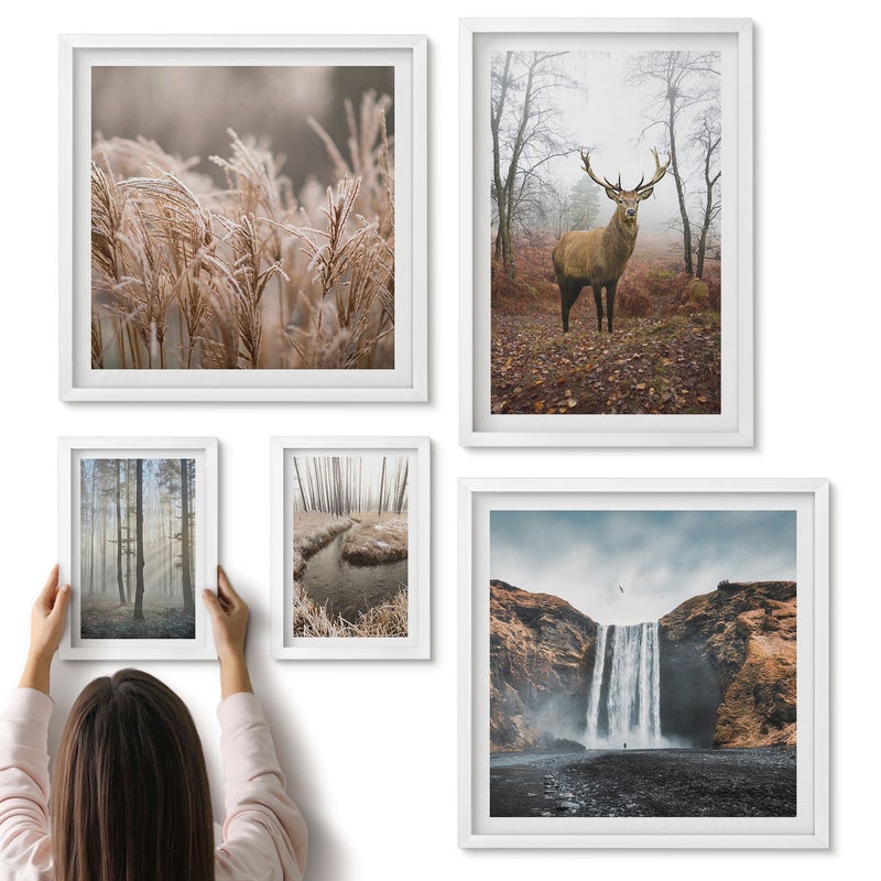 Galeria ścienna 5-częściowy komplet obrazów w białych ramach - Naturalne krajobrazy dzikiej przyrody z leśnymi zwierzętami - ArtPrintCave