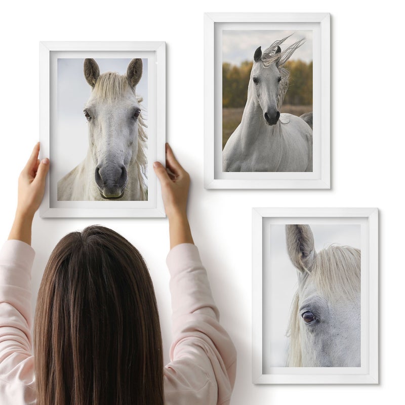 Galeria ścienna 3-częściowy komplet obrazów w białych ramach - Białe konie w różnych pozach na tle natury - ArtPrintCave