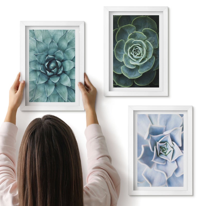 Galeria ścienna 3-częściowy komplet obrazów w białych ramach - Rośliny sukulentowe w odcieniach zieleni i turkusu - ArtPrintCave