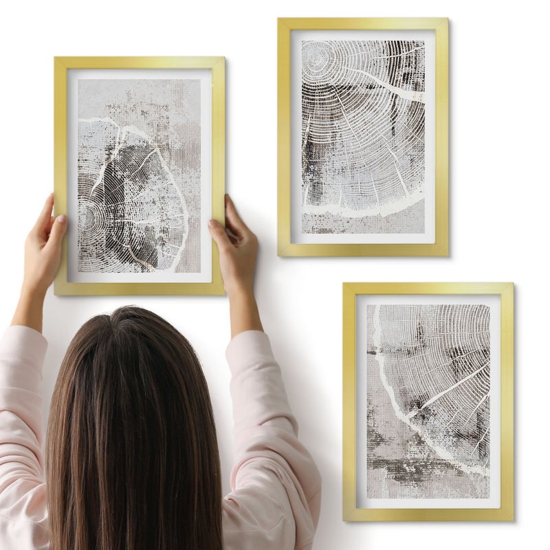 Galeria ścienna 3-częściowy komplet obrazów w złotych ramach - Wzory słojów drewna w odcieniach szarości i bieli - ArtPrintCave