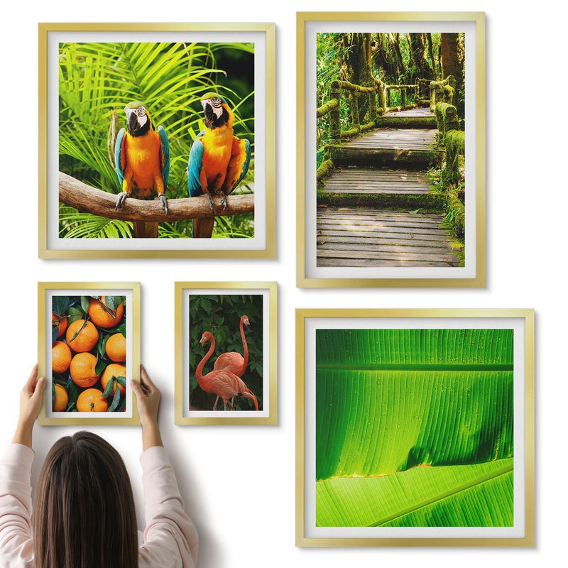 Galeria ścienna 5-częściowy komplet obrazów w złotych ramach - Tropikalne motywy natura egzotyczne owoce i ptaki - ArtPrintCave