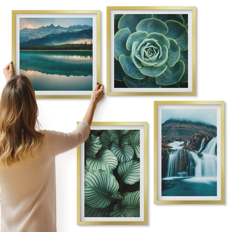 Galeria ścienna 4-częściowy komplet obrazów w złotych ramach - Zbliżenia na rośliny liście sukulenty - ArtPrintCave