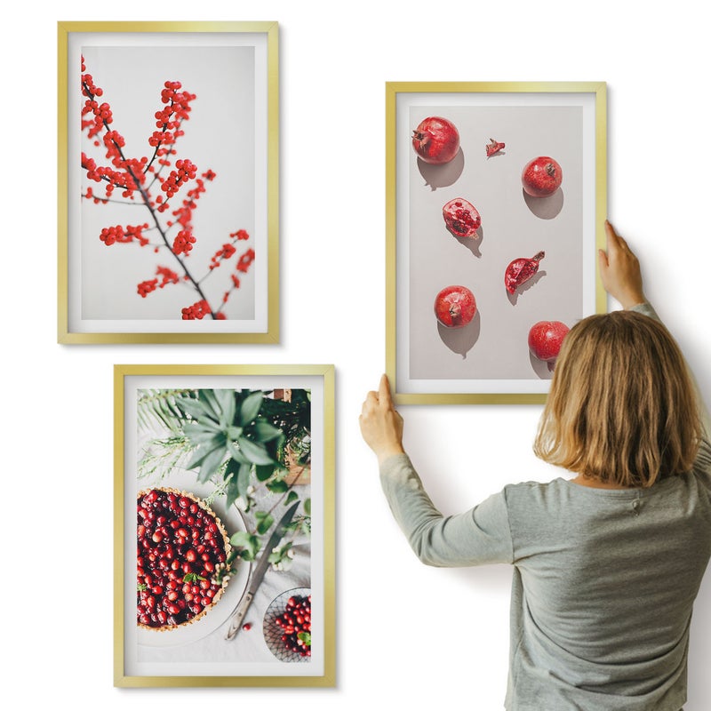 Galeria ścienna 3-częściowy komplet obrazów w złotych ramach - Czerwone owoce i rośliny w minimalistycznym stylu - ArtPrintCave