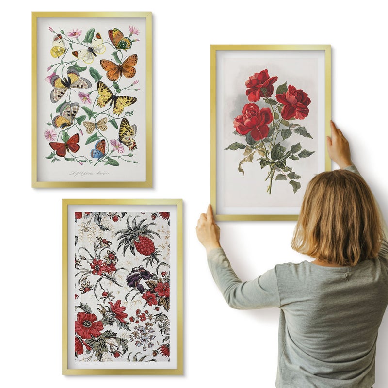 Galeria ścienna 3-częściowy komplet obrazów w złotych ramach - Motyle kwiaty i czerwone róże w klasycznym stylu - ArtPrintCave