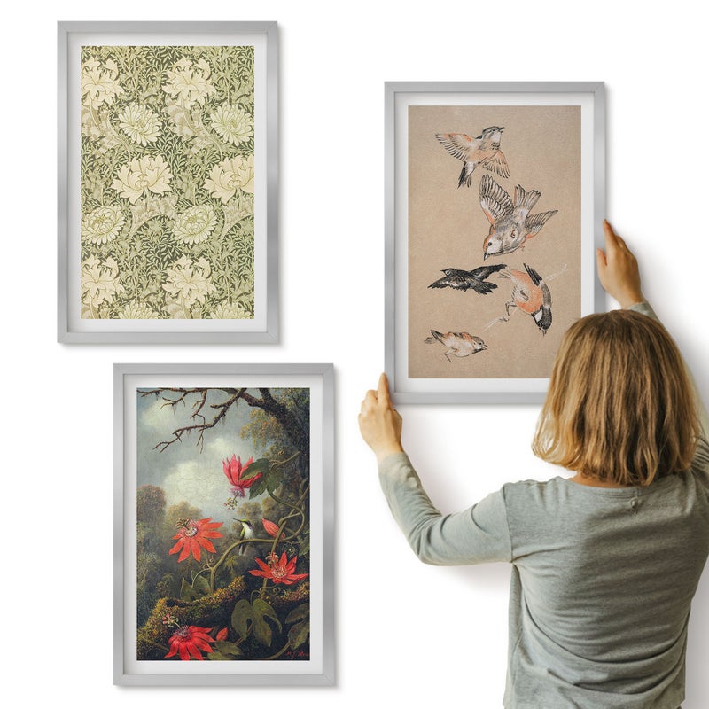 Galeria ścienna 3-częściowy komplet obrazów w srebrnych ramach - Kwiaty i ptaki w naturalnym otoczeniu przyrody - ArtPrintCave