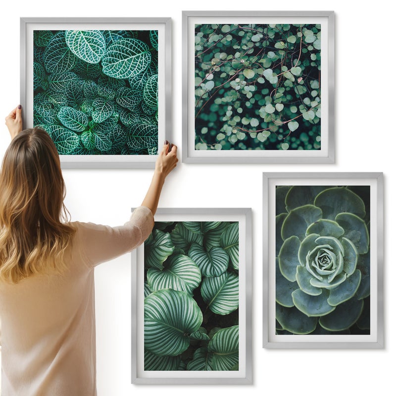 Galeria ścienna 4-częściowy komplet obrazów w srebrnych ramach - Zielonych rośliny liściaste i sukulenty stylowe - ArtPrintCave