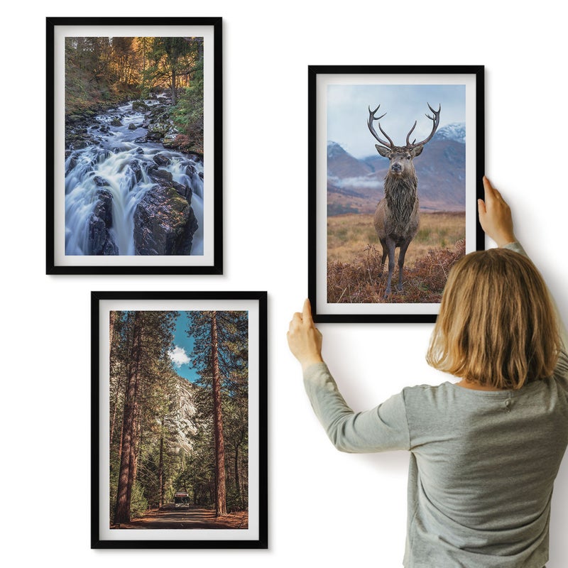 Galeria ścienna 3-częściowy komplet obrazów w czarnych ramach - Wodospad w lesie góry i jeleń w naturze - ArtPrintCave