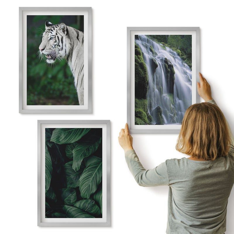 Galeria ścienna 3-częściowy komplet obrazów w srebrnych ramach - Tygrys biały liście i wodospad w naturalnym otoczeniu - ArtPrintCave