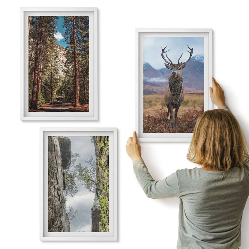 Galeria ścienna 3-częściowy komplet obrazów w białych ramach - Droga w lesie góry i jeleń w naturze - ArtPrintCave
