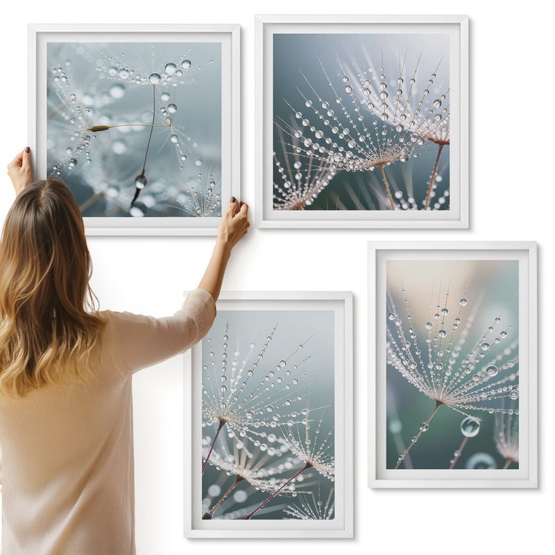 Galeria ścienna 4-częściowy komplet obrazów w białych ramach - Krople wody na delikatnych pędach dmuchawców - ArtPrintCave