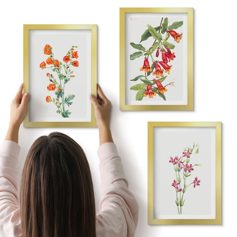 Galeria ścienna 3-częściowy komplet obrazów w złotych ramach - Malunek kwiatów w stylu vintage retro - ArtPrintCave