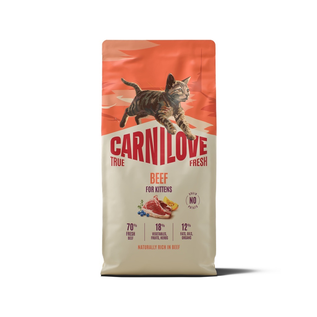 CARNILOVE True Fresh Cat Beef Kittens 6 kg wołowina, dla kociąt wszystkich ras