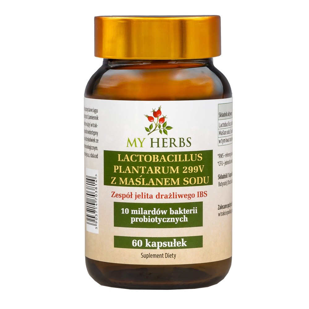 My Herbs Lactobacillus Plantarum 299V z Maślanem Sodu, kapsułki, 60 szt.