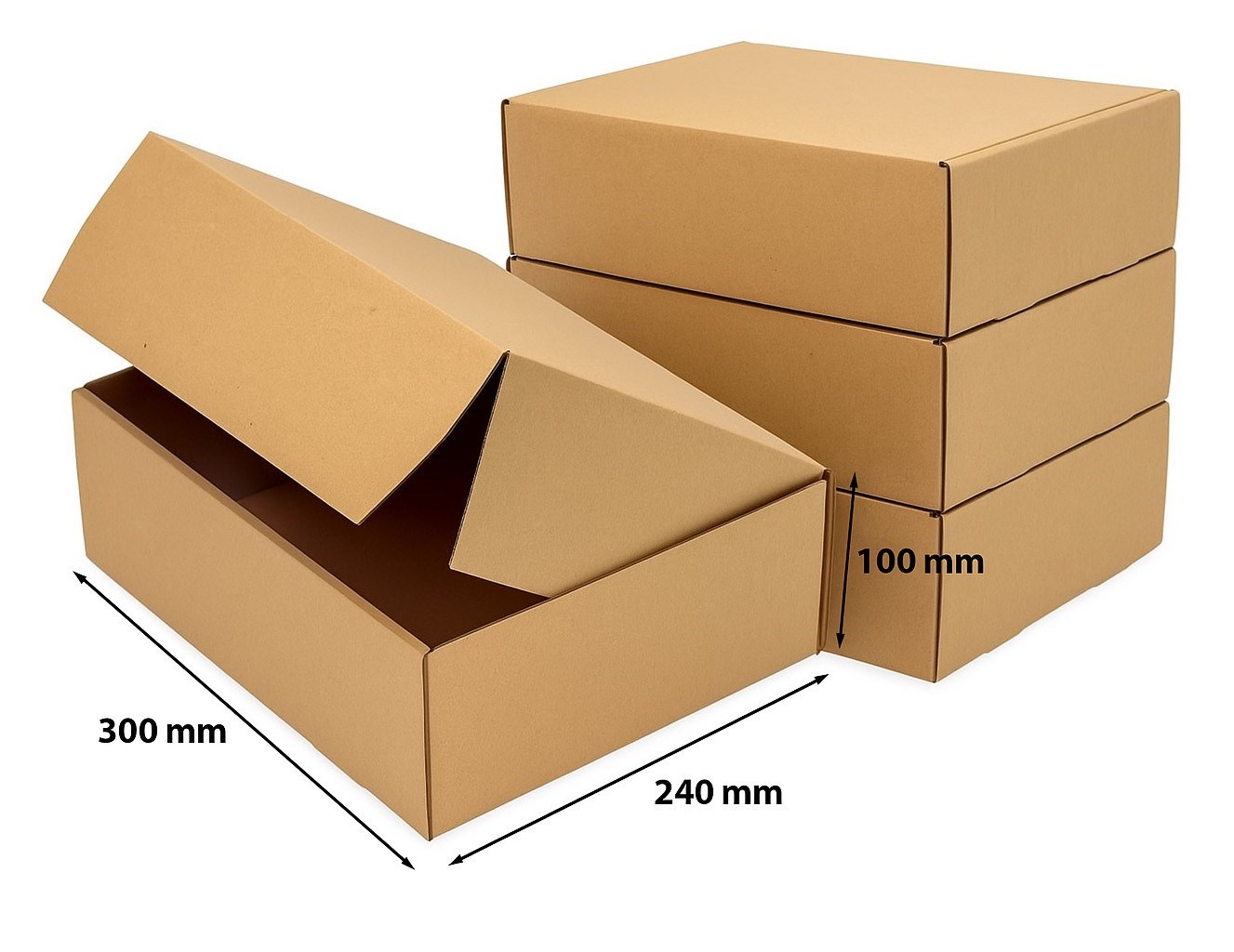 Pakiet - Karton wykr. 300x240x100mm - 10 szt