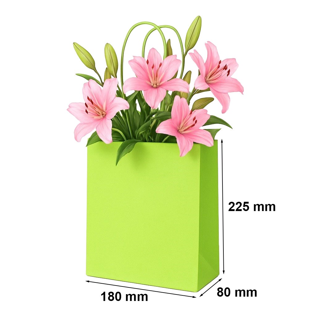Torba papierowa 180x80x225mm zielona na drobne prezenty, gadżety eko