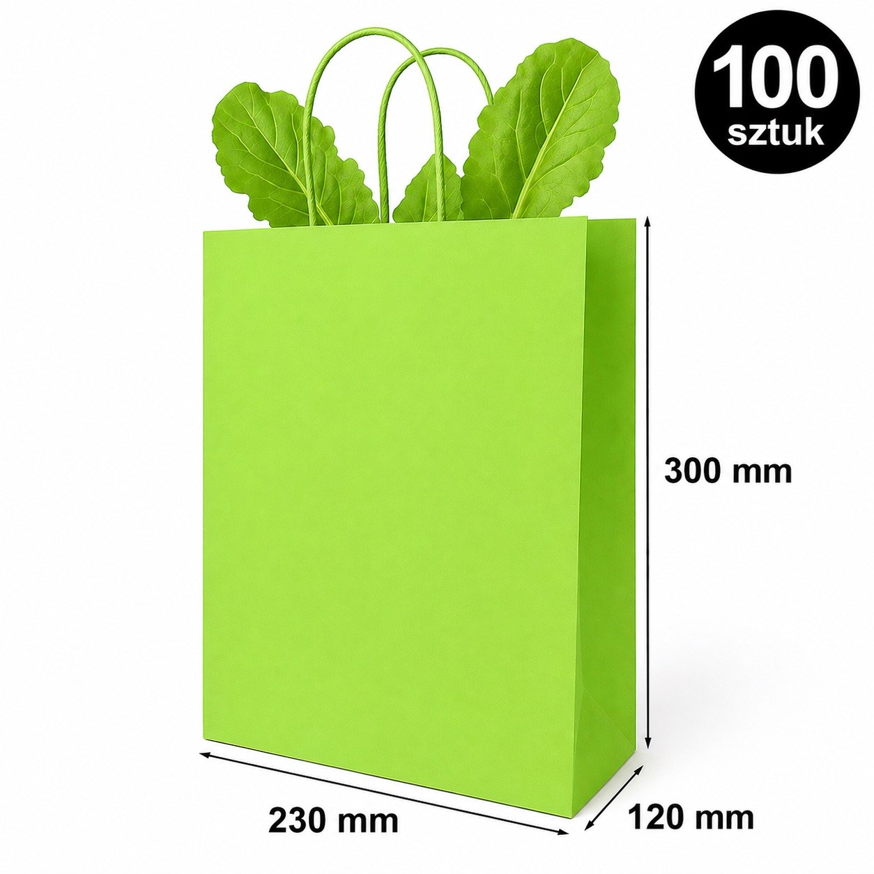 Torba Papierowa 230x120x300mm Zielona Prezentowa na Upominki 100 Sztuk