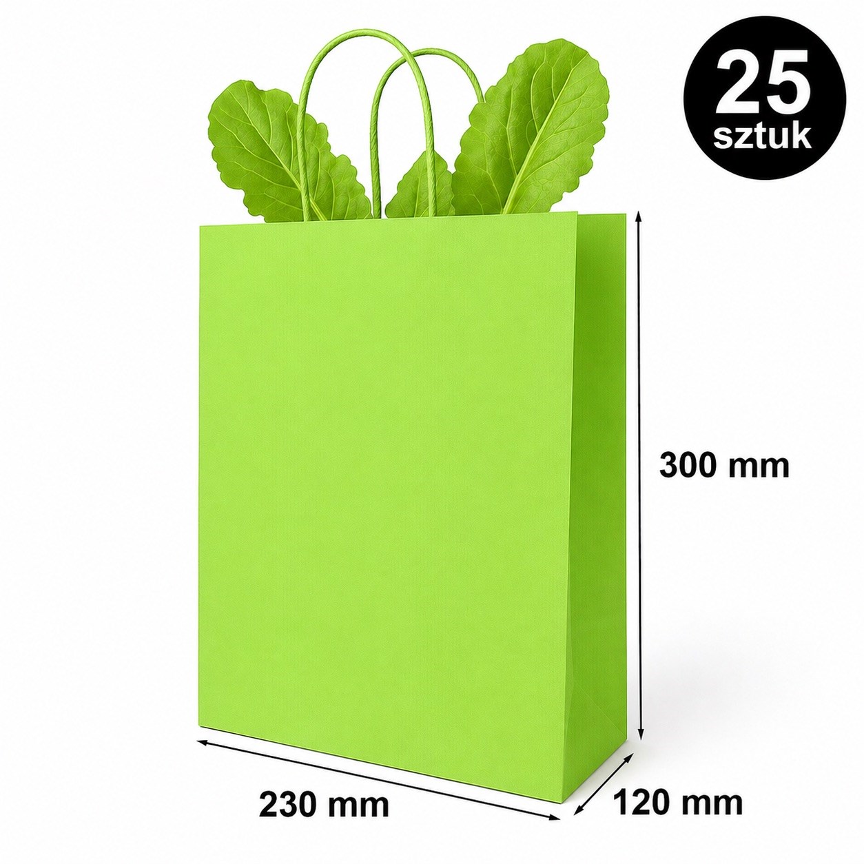 Torba Papierowa 230x120x300 mm Zielona Prezentowa na Upominki 25 Sztuk