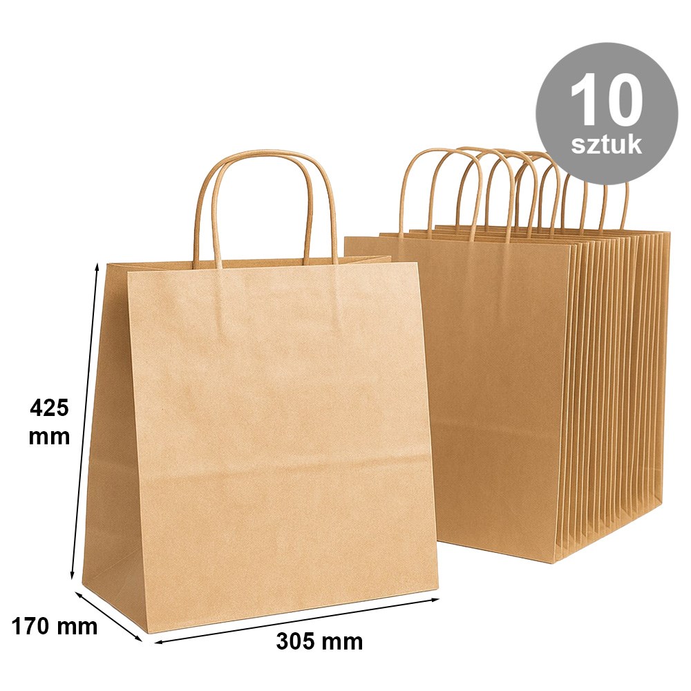 Torby papierowe brązowe gładkie z uchwytem 305x170x425 mm 10 szt