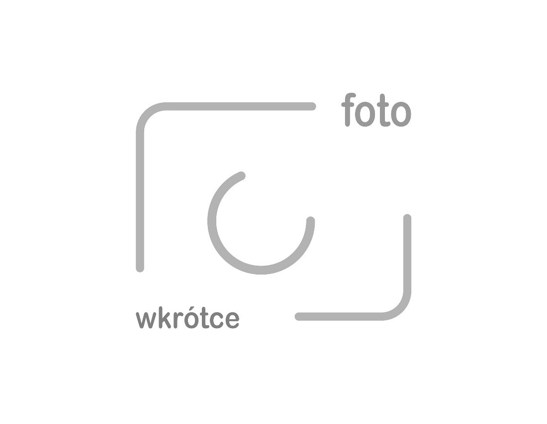Łyżki drewniane jednorazowe 16 cm 100 sztuk ekologiczne