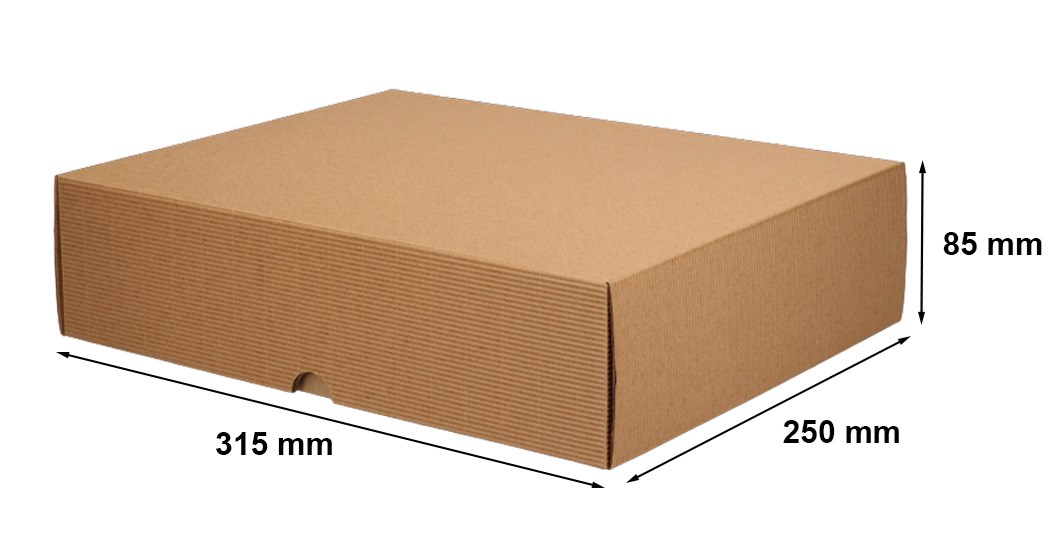 Pudełko kartonowe wykrojnikowe karbowane z wieczkiem 315x250x85 mm