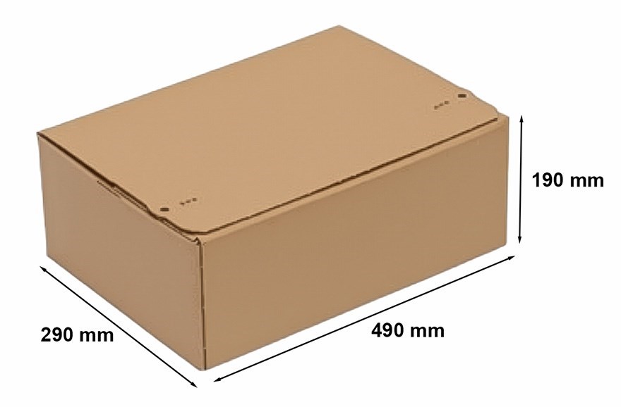 Pudełko wykrojnikowe kartonowe e-commerce 490x290x190 mm F703 10 szt.