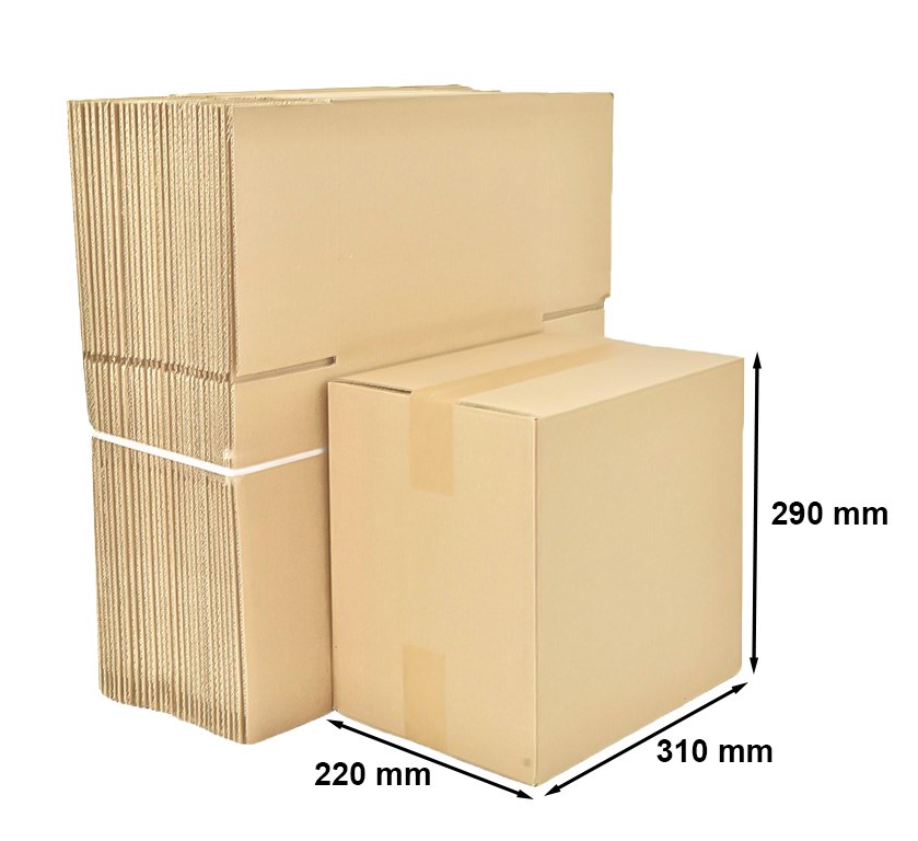 Kartony Klapowe 310x220x290mm, 10 sztuk