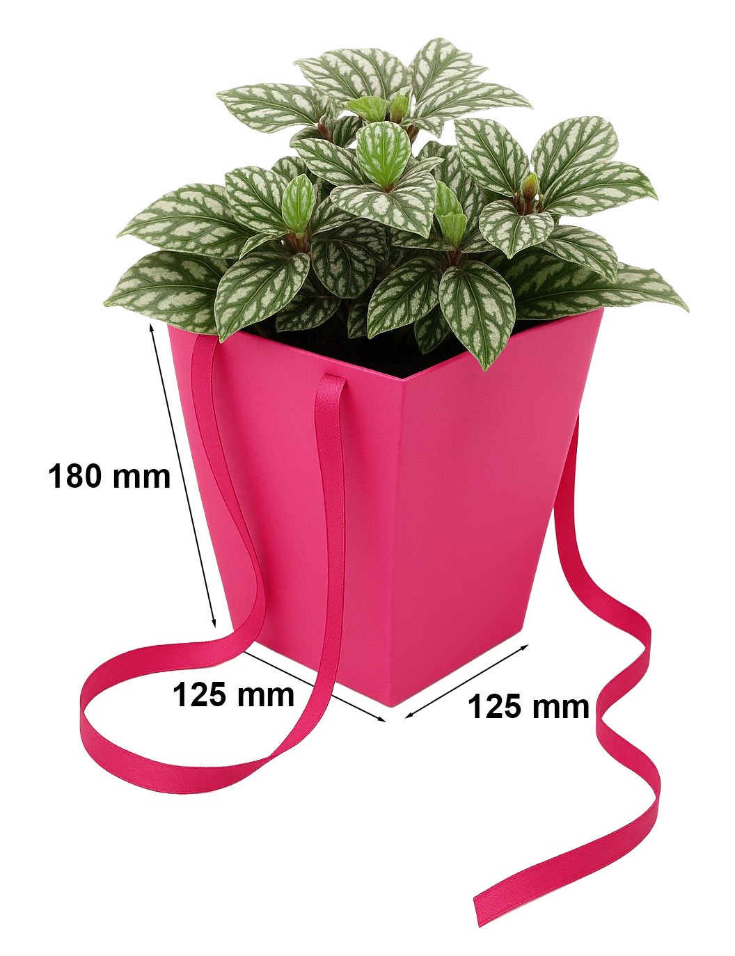 Flower box torba papierowa na kwiaty fuksja 125x125x180/165x165 mm