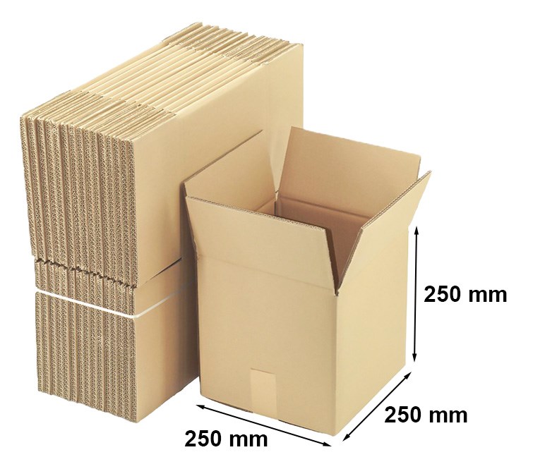 Kartony klapowe pudła kartonowe 250x250x250 mm BC580 100 szt.