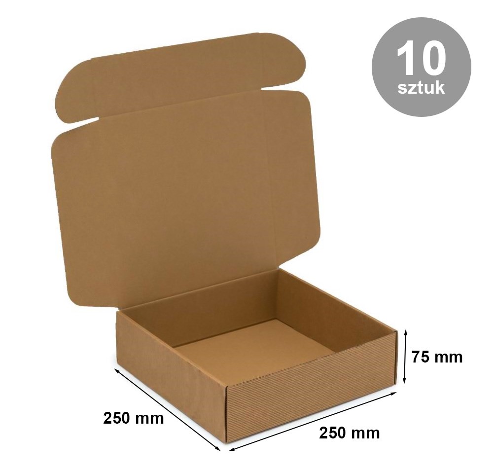 Pudełka kartonowe karbowane wykrojnikowe 250x250x75mm F427 10szt