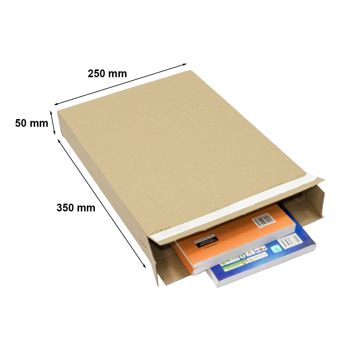 Pudełko kartonowe Flatbox F12 automatyczne brązowe 250x50x350 mm