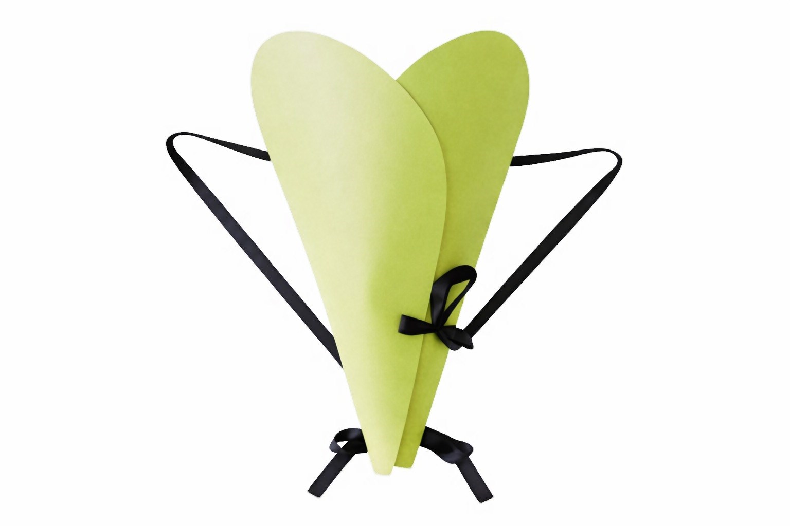 Torba Na Kwiaty Transporter Bukietów z Uchwytami Plecak - Zielony