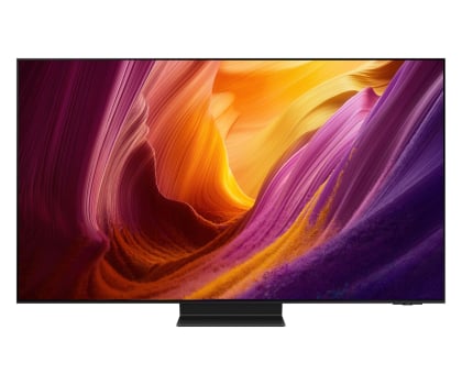 Samsung QE55S95H 55