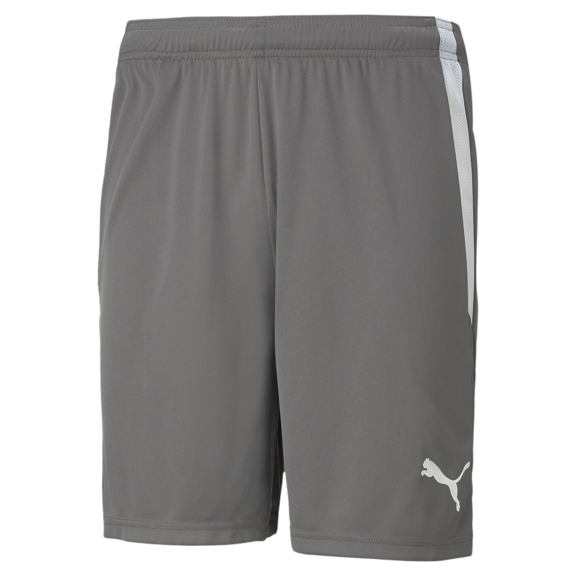 Szorty Puma Teamliga 13 Szorty Dorosłych