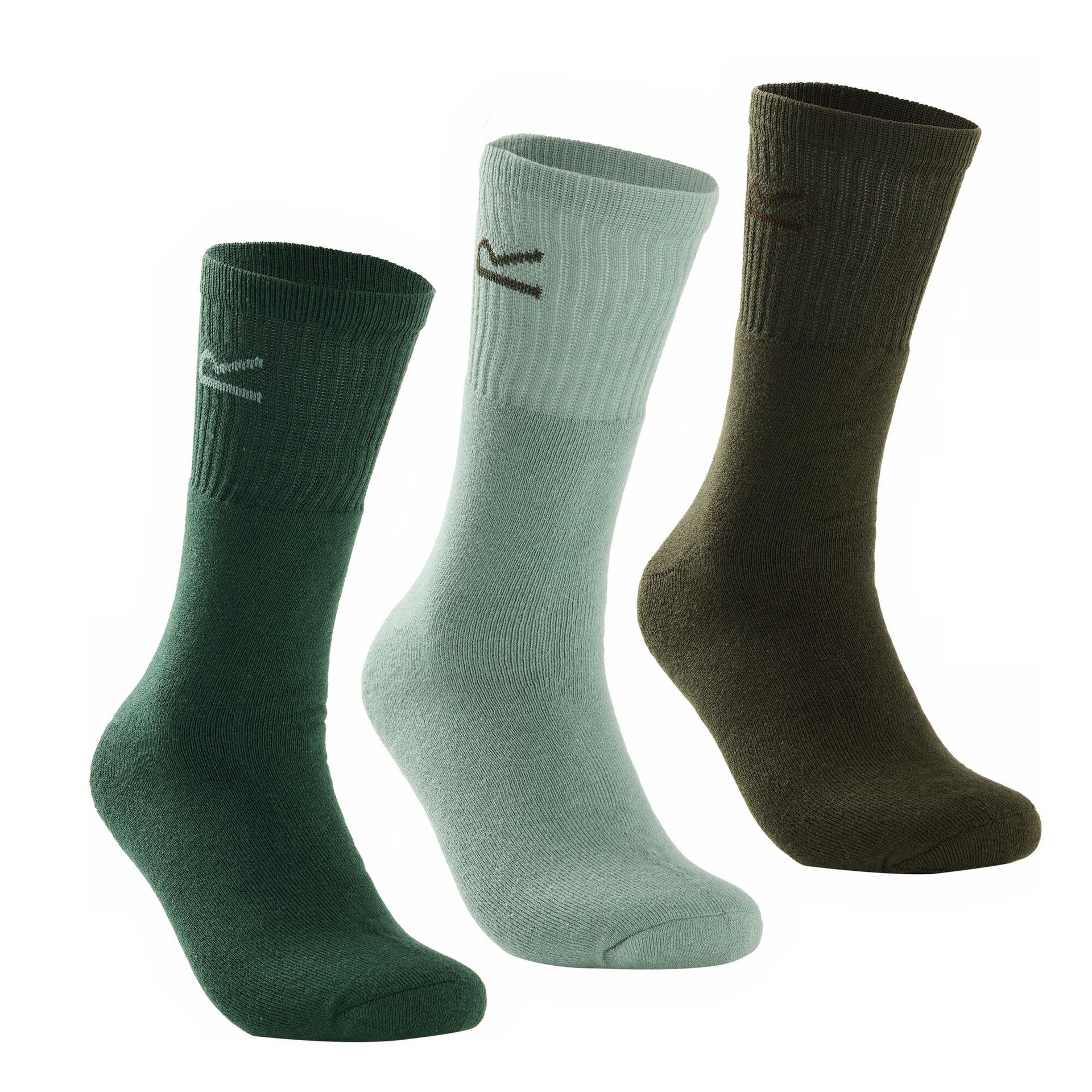 Regatta Skarpety męskie Sock in A Box 3-pak Zielony