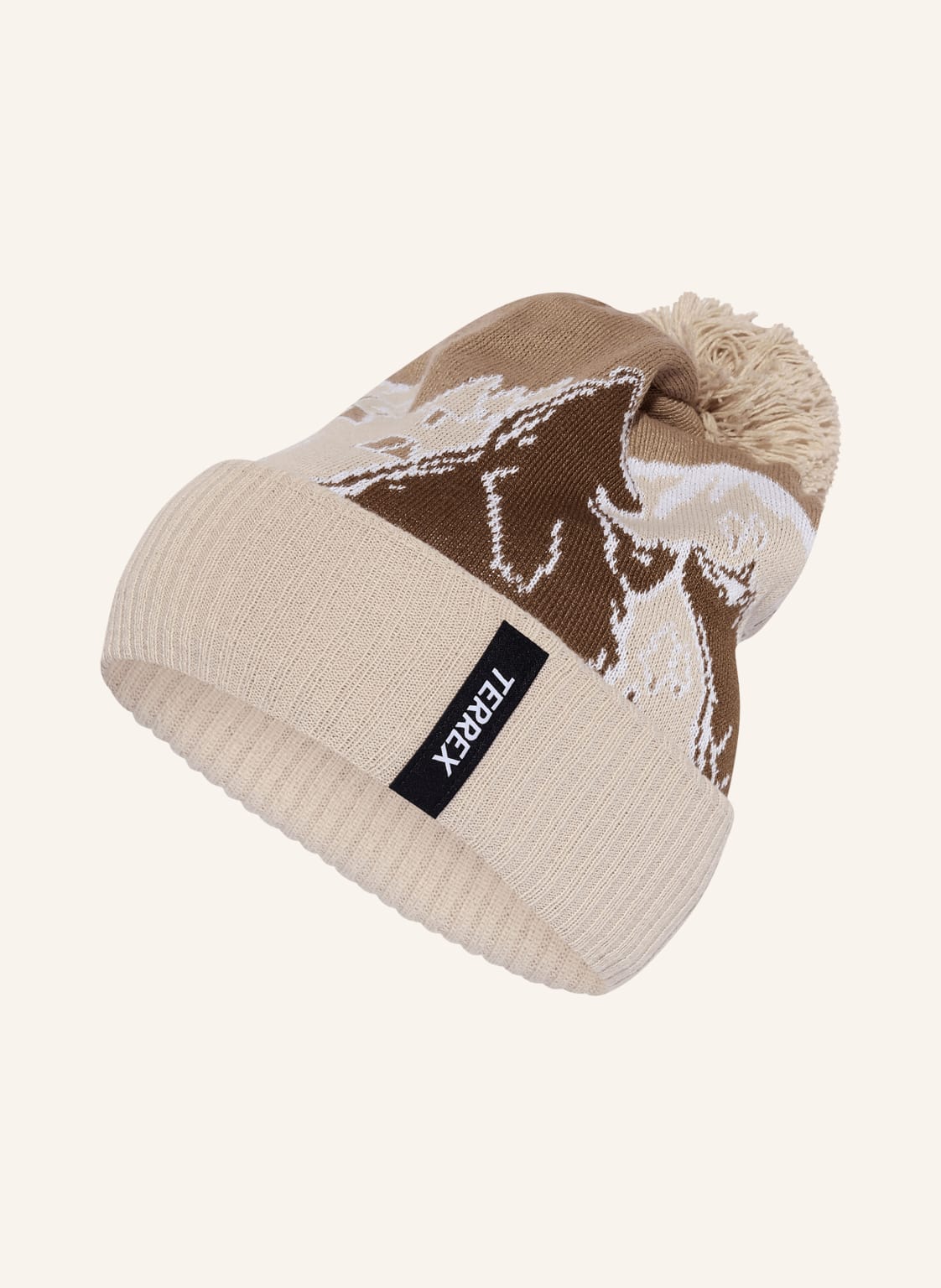 Adidas Terrex Czapka Xploric grau
