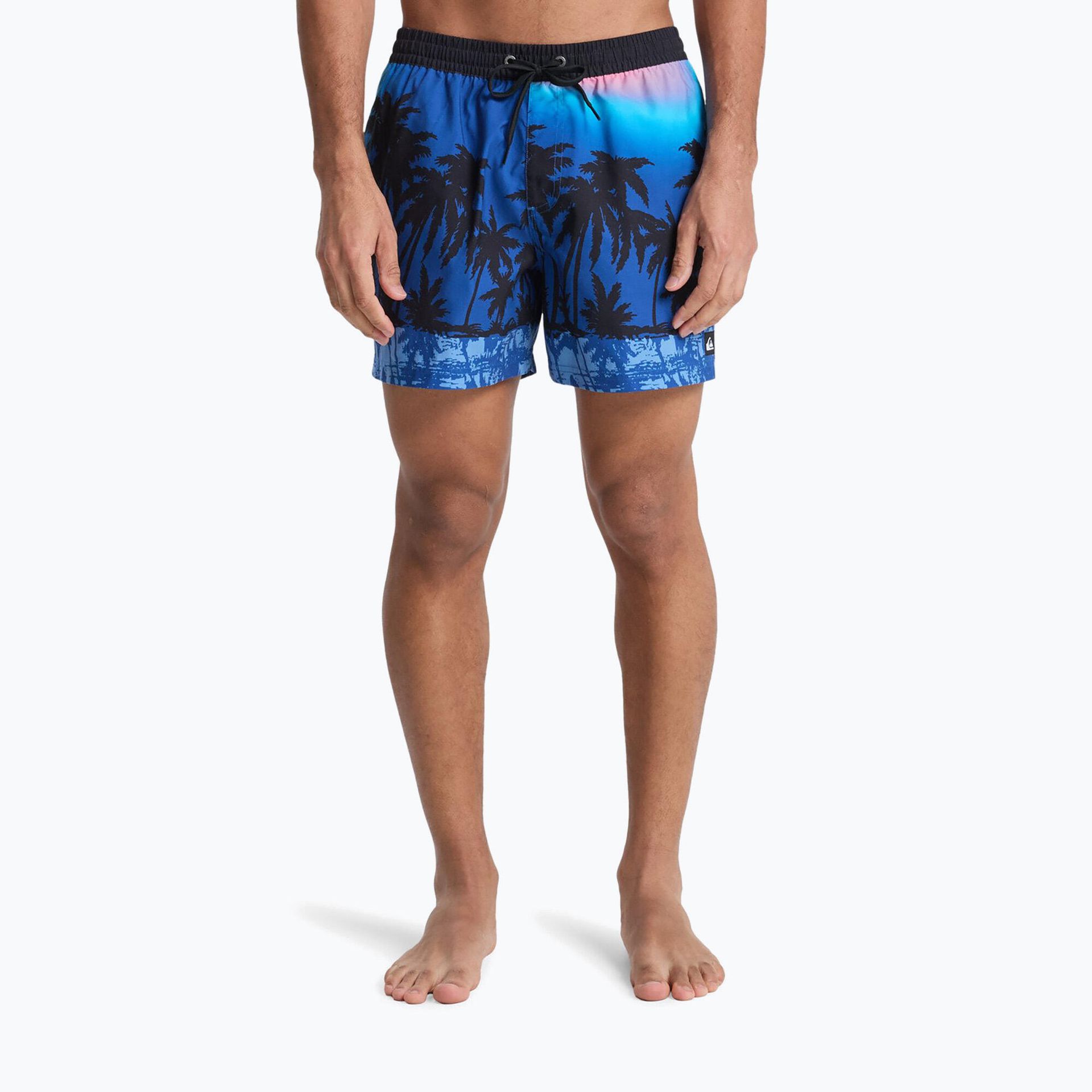 Szorty kąpielowe męskie Quiksilver Everyday Printed Volley 15