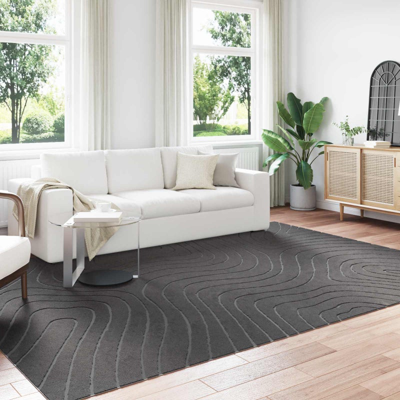 Dywany pokojowe PALMERAS Antracyt 280 x 200 cm Poliester vidaXL