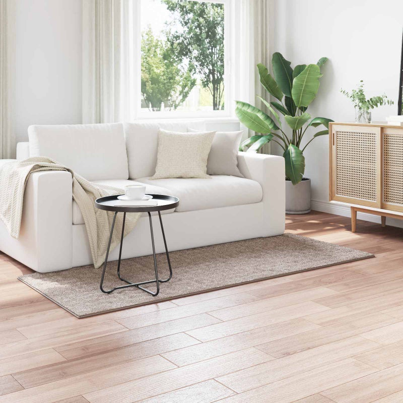 Dywany pokojowe SIROLO piaskowy 150 x 80 cm Poliester vidaXL