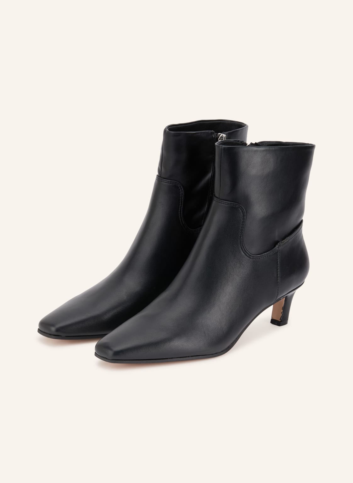 Steve Madden Botki Davis schwarz