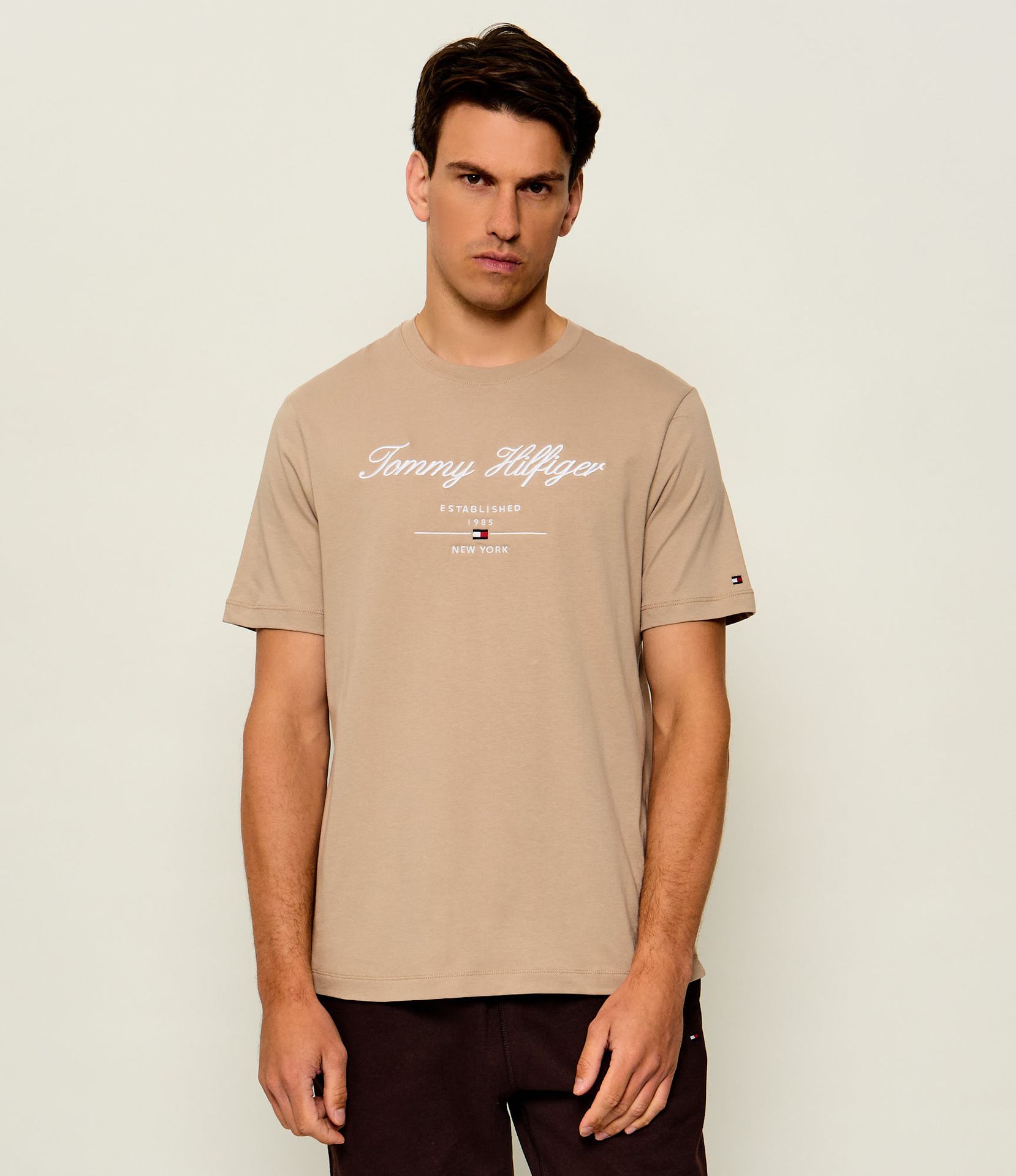 Tommy Hilfiger T-shirt Regular Fit